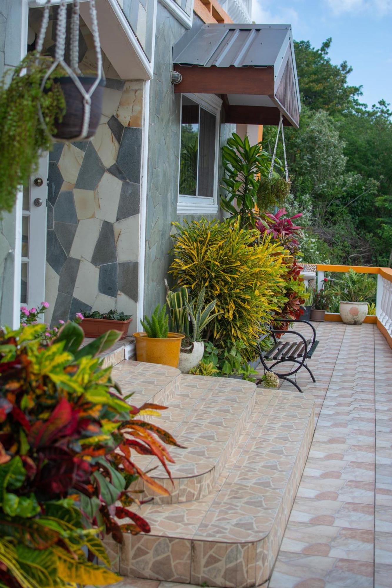 Mountain View Apartments Gros Islet Exteriér fotografie